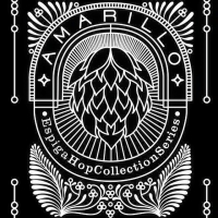 Espiga Amarillo Hop Collection Series