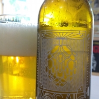 Espiga Mosaic Hop Collection Series