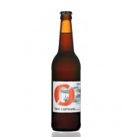 Nogne Two Captains Double IPA 33cl - Drinks of the World