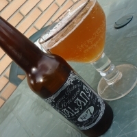 Galana Nº 7 Tostada