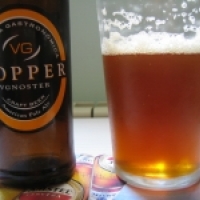 VG Noster Copper