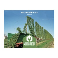 Moersleutel Motueka x7 