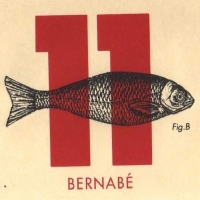 MATEO&BERNABE Bernabé - Cold Cool Beer