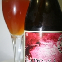 Ales Agullons Barrica Merlot