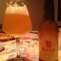 Bertus Summer Ale - 2D2Dspuma