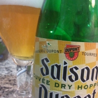 Dupont Saison Cuvée Dry Hopping 33 Cl. - 1001Birre