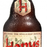 HOPUS 33 CL. - Va de Cervesa