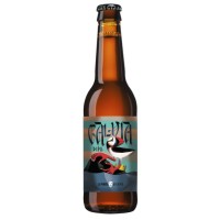 La Pirata / Galway Bay Galvia