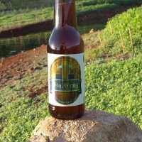 Ocote Beach Sta. Cruz 