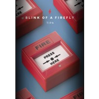 Blink Of Firefly - Biermarket