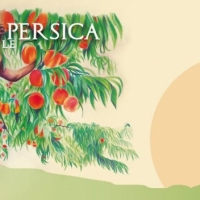 Sesma Prunus Persica