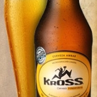 Kross Golden Pale Ale 330ml - Clube do Malte