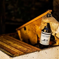 Castreña Honey Belgian 33 cl - Cervezas Diferentes