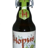 Hopus - Cerveza & Placer