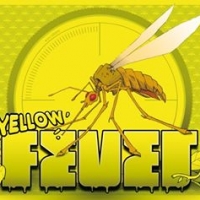 La Petra Yellow Fever