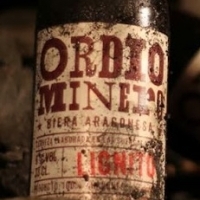 Cerveza Artesana Ordio Lignito Stout 33cl - Alacena de Aragón