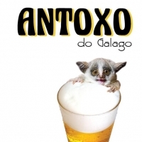 Antoxo do Galago 