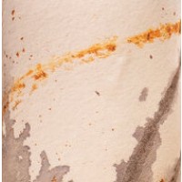 La Malpolon / La Montagnarde / Cyclic Beer Farm Yeast Trio Cyclic Yeast Blend La Malpolon / La Montagnarde / Cyclic Beer Farm Yeast Trio Cyclic Yeast Blend