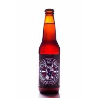 Propaganda American Pale Ale - Beerbank