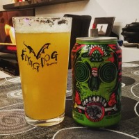 Amundsen Hopbliminal Messages