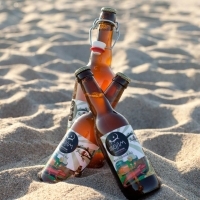 Ibosim IBZ Summer con Mango - Ibosim - Ibiza Beer Company