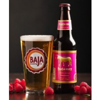 Baja Razz  Raspberry Ale - The Beertual Pub