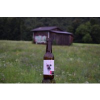 Castello Beer Factory Engendro - OKasional Beer