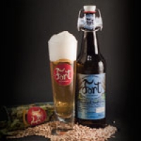 Fort Daurada Pampera 