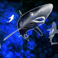 Agua Mala Mako Agua Mala Mako