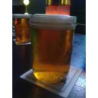 Lagunitas IPA - 101 Cervezas