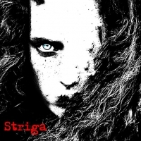 El Oso y el Cuervo Striga 