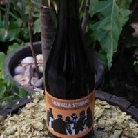 La Font del Diable Candela Strong