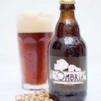 L´ombria IPA pack 12 - Totcv