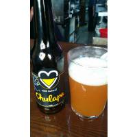 Chula Pale Ale 0,33L - Mefisto Beer Point