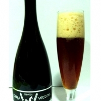 Tierra Vettona Scotch Ale 