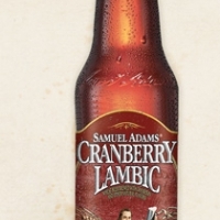 Samuel Adams Cranberry Lambic