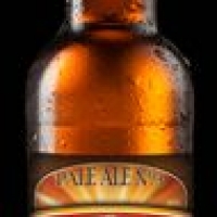 Exulans Pale Ale Nº3 Exulans Pale Ale Nº3