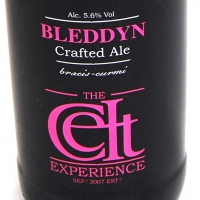 Celt Experience Celt Bleddyn 1075