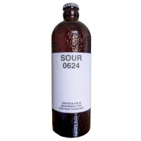 Cerveza Salvaje Sour 0624 Cerveza Salvaje Sour 0624