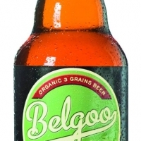 BROUWERIJ BELGOO  Belgoo Bio Amber - Biermarket