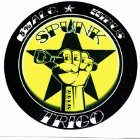 Spunk beer Trigo
