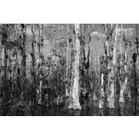 Popihn RUSSIAN IMPERIAL STOUT - Bourbon Barrel Aged Blend 