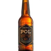 Cerveza Artesana Pol Nostrum Ale - Cold Cool Beer