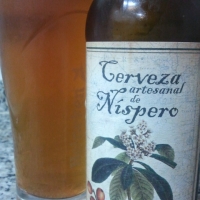 RUCHEY Cerveza Artesanal de Níspero - Cold Cool Beer