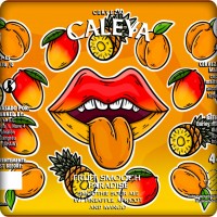Caleya  Fruit Smooch Paradise 44cl - Beermacia