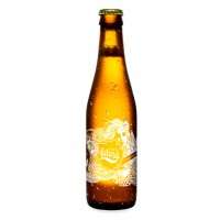 Terra Latina Lager Beer - Terra Latina