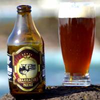Barracud Pale Ale Barracud Pale Ale