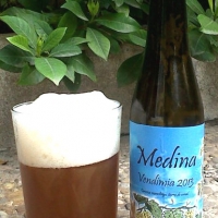 Medina Vendimia 2013 