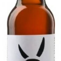 Burrobeer Spanish Spice Kick Ale 