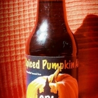 Hanselbier Spiced Pumpkin Ale 